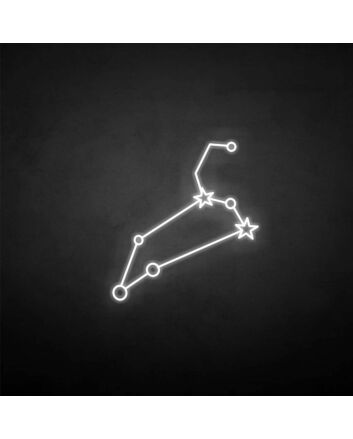&#39;Leo&#39; neon sign
