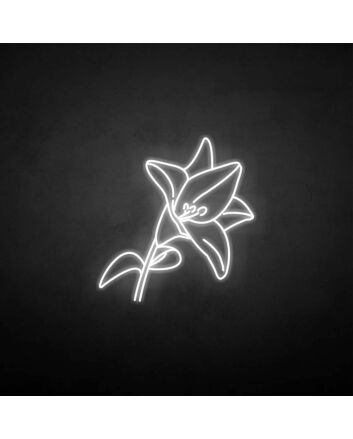 Lily&#39; neon sign