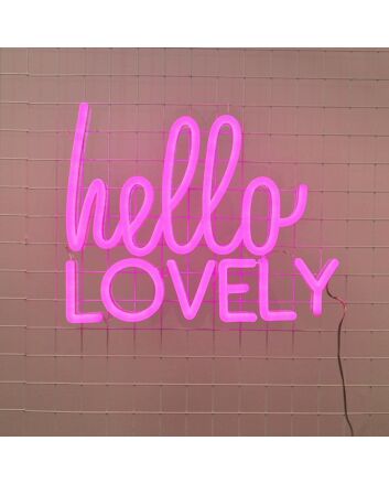Hello Lovely Neon Sign adds a welcoming feel to any home