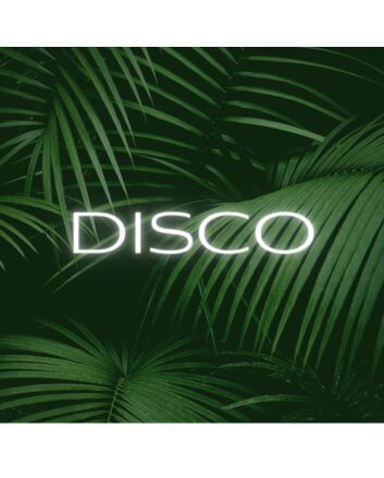 Brighten Up Your Nights: Disco LED Neon Sign for Bars, Clubs, and Festive Home Parties