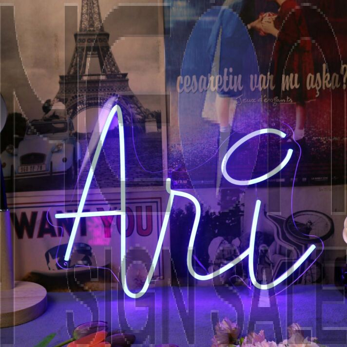Ani Blue Neon Sign