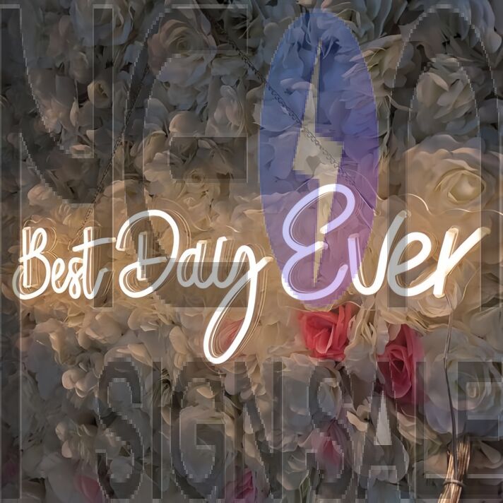 Best Day Ever Style 1 Neon Sign to Light Up Your Life