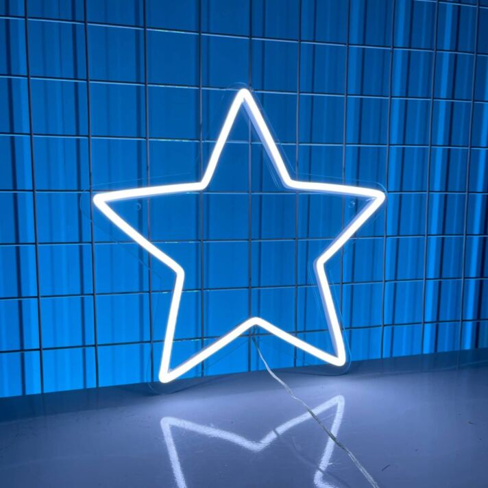 Star Lover Neon Light Star Light Room Decor Christmas Decor Led Neon Sign