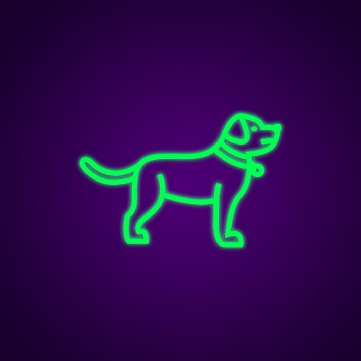 Dog Neon Sign for Pet Lovers