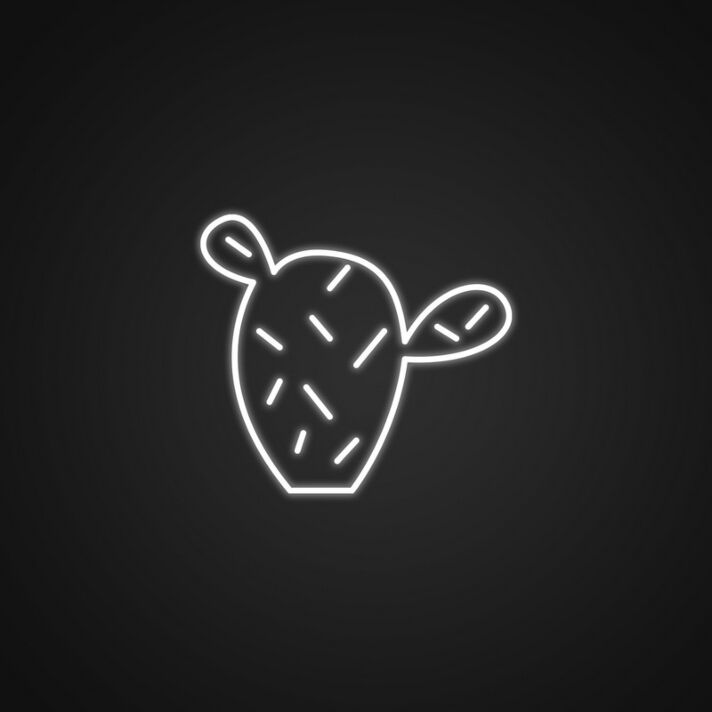 Cactus Neon Sign for Nature Inspired Decor