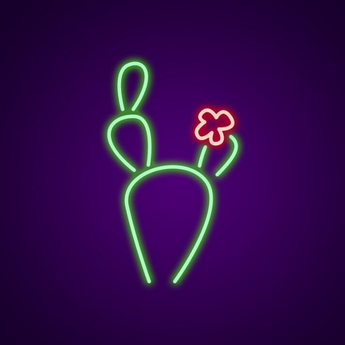 Cactus Neon Sign for Desert Themes