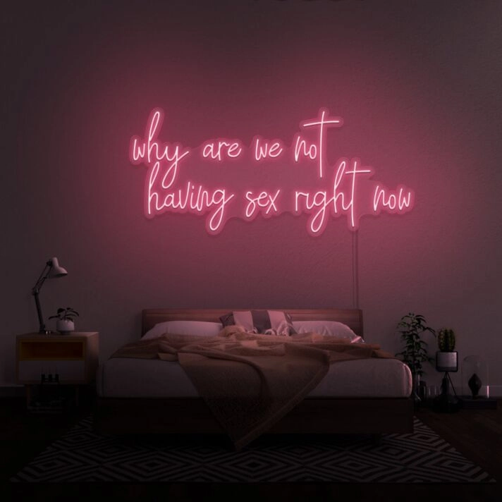 Why Are We Not Having Sex Right Now Neon Sign