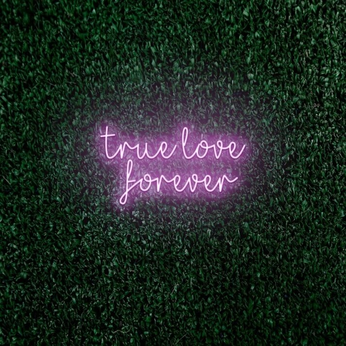 True love forever LED neon sign