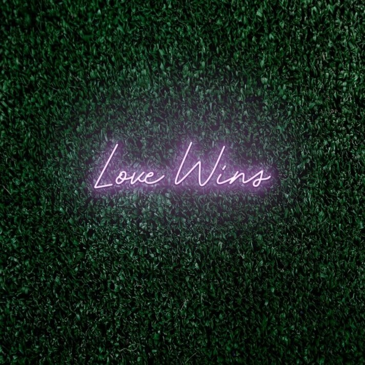 Love Wins LED Neon Sign