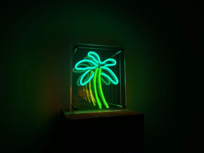 Palm Tree Infinity Mirror Neon Sign