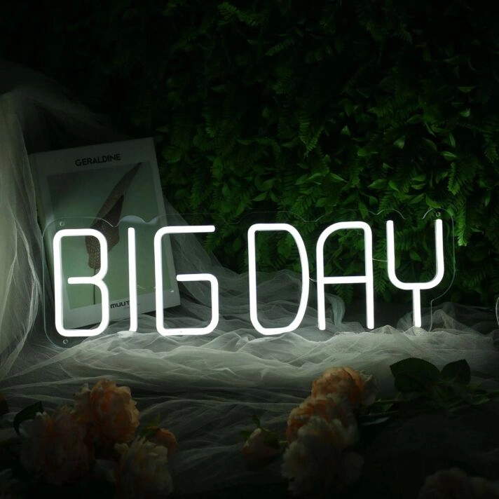 BIG DAY White Neon Sign