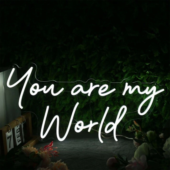 You Are My World White Neon Sign