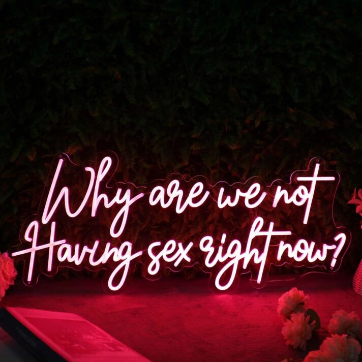 Why Are We Not Having Sex Right Now Red Neon Sign