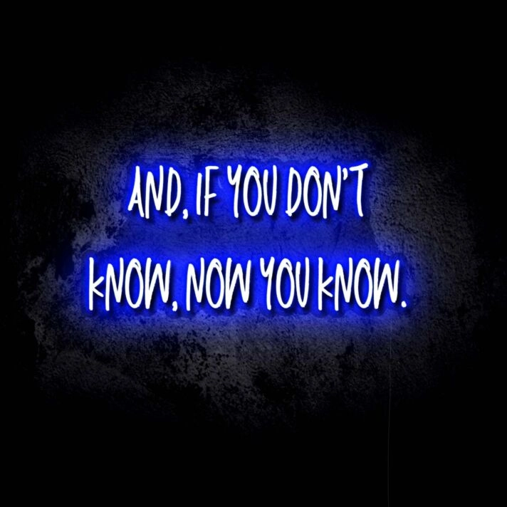 If You Don't Know, Now You Know LED Neon Sign