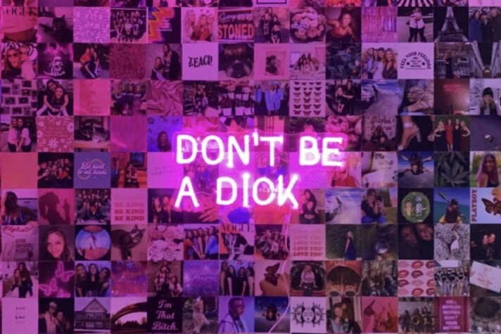 'Don't be a dick' neon sign