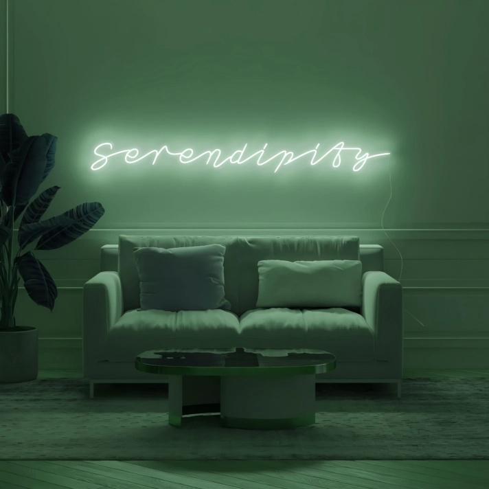 Neon Sign Serendipity