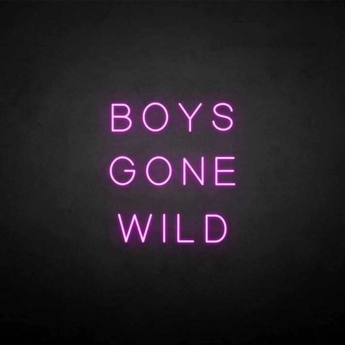 BOYS GONE WILD' neon sign