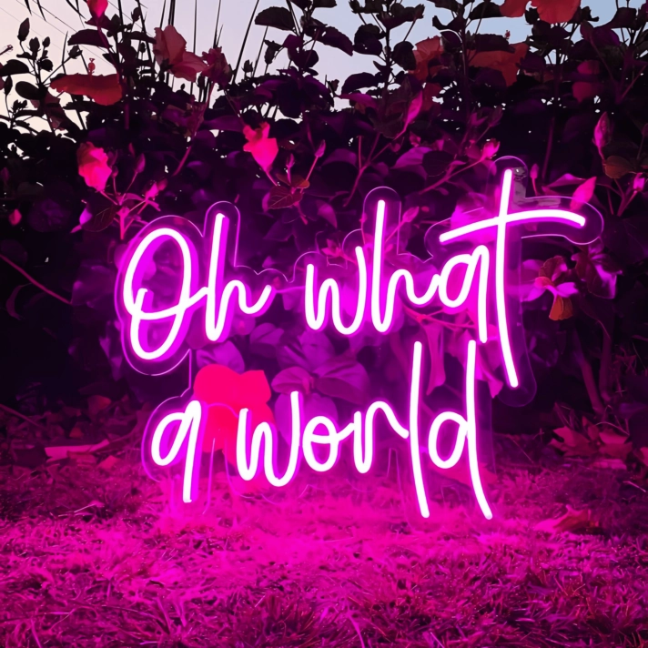 Oh What a World: Let Your Space Shine with Wonder!