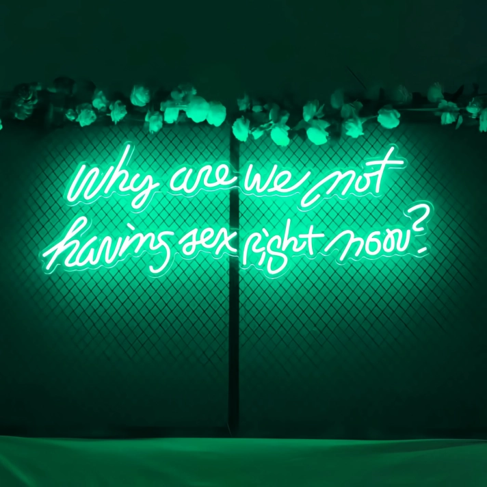 Why Are We Not Having Sex Right Now Neon Sign: Let Desire Light the Way