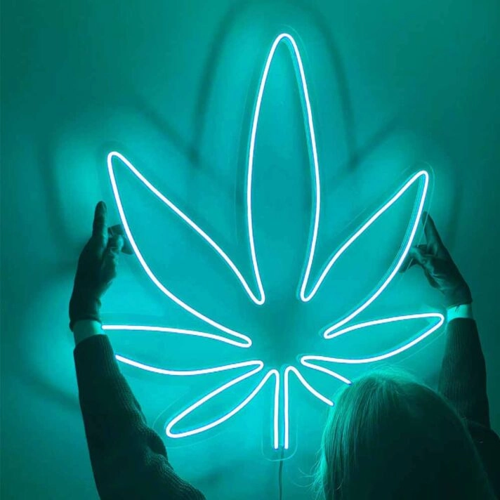 Indoor Leaf Green Plant Decorative Light