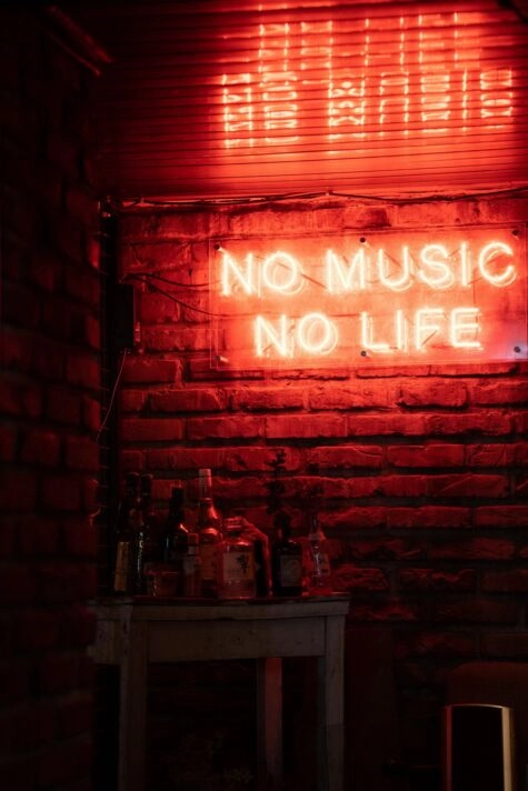 No Music No Life Neon Sign Perfect for music lovers
