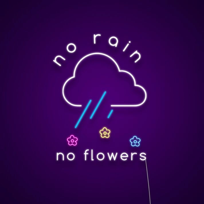 No Rain No Flowers Neon Sign Inspire resilience and growth