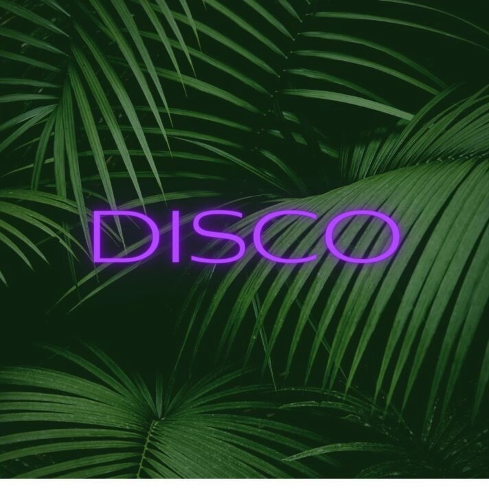 Brighten Up Your Nights: Disco LED Neon Sign for Bars, Clubs, and Festive Home Parties