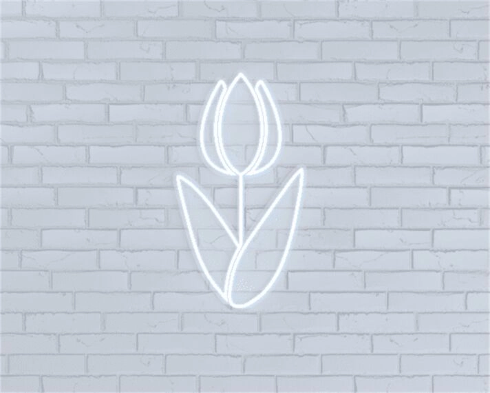 Add a vibrant touch to your home decor, office, and celebrations with LED Tulorp LED Neon Sign.