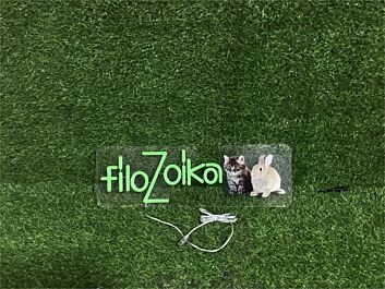 Elevate Your Space: Custom Filo Zoika Uv LED Neon Sign for Bars, Weddings, and Home Ambiance