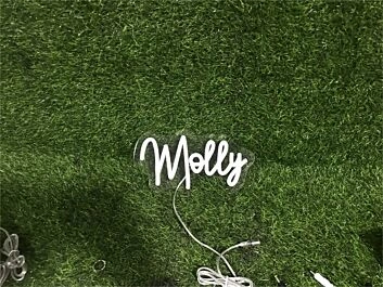Elevate Your Space: Add a Glow to Your Home, Office, or Bar with the Personalize Custom Molly LED Neon Sign.