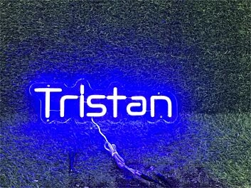 Brighten Up Your Space: Perfect for Weddings, Bars, and Home Decor with Personalize Custom Tristan LED Neon Sign.