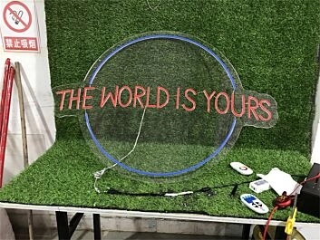 Brighten Your Office, Store, or Bar Ambience with The World Is Yours LED Light LED Neon Sign.