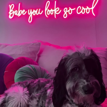 Babe, You're Absolutely Cool Neon Sign