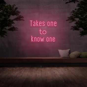 &#39;Takes One To Know One&#39; Neon Sign