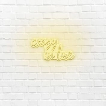 Crazy in love LED neon sign