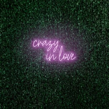 Crazy in love LED neon sign