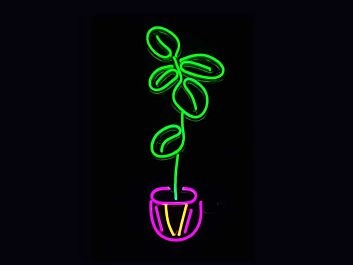 Fiddle Leaf Fig Plant Neon Sign