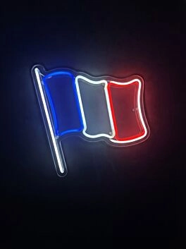 Flag of France Neon Sign