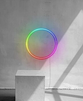 RGB Dynamic Color Circle Neon Sign