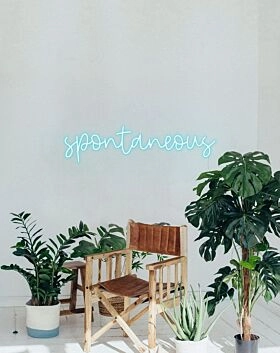 Spontaneous Neon Sign