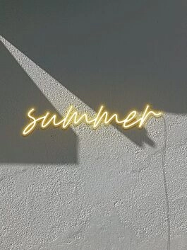 Summer Neon Sign