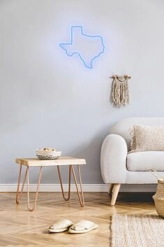 Texas Neon Sign