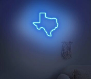 Texas Neon Sign