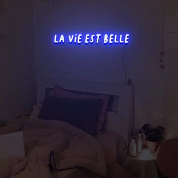 La Vie Est Belle Neon Sign Custom Neon Sign Lights Night Lamp Led Neon Sign Light For Home Party
