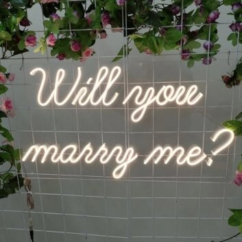 Will You Marry Me &#8211; Led Neon Sign