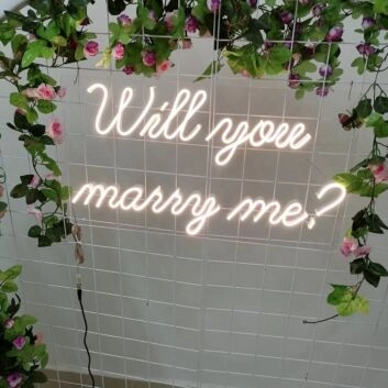 Will You Marry Me &#8211; Led Neon Sign