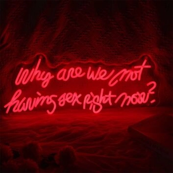 Why Are We Not Having Sex Right Now Neon Sign