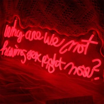 Why Are We Not Having Sex Right Now Neon Sign