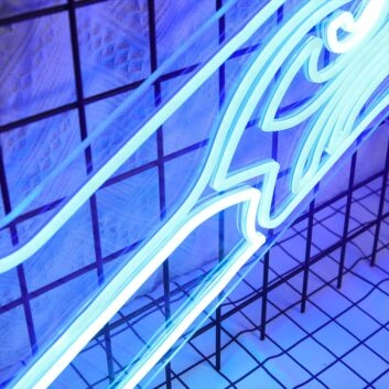 Seattle Seahawks Neon Sign