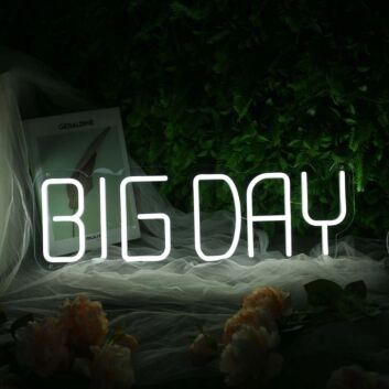 BIG DAY White Neon Sign